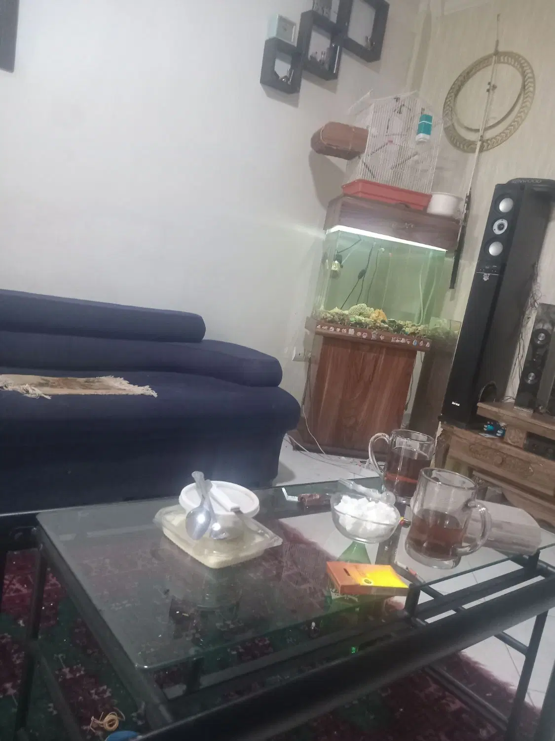 سوییت اجارکوتامددت