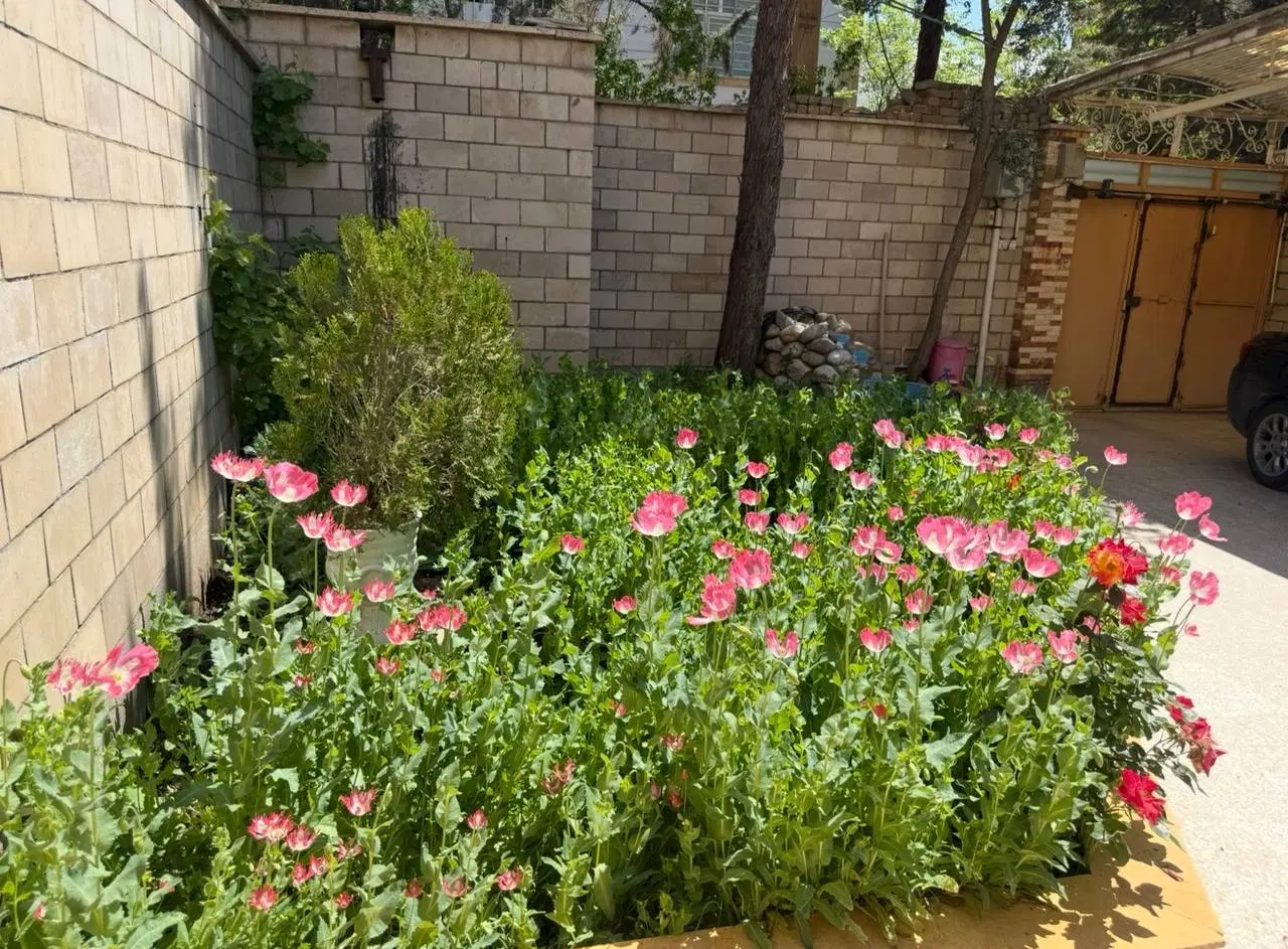رهن کامل ویلایی کوی اساتید ( خاص )