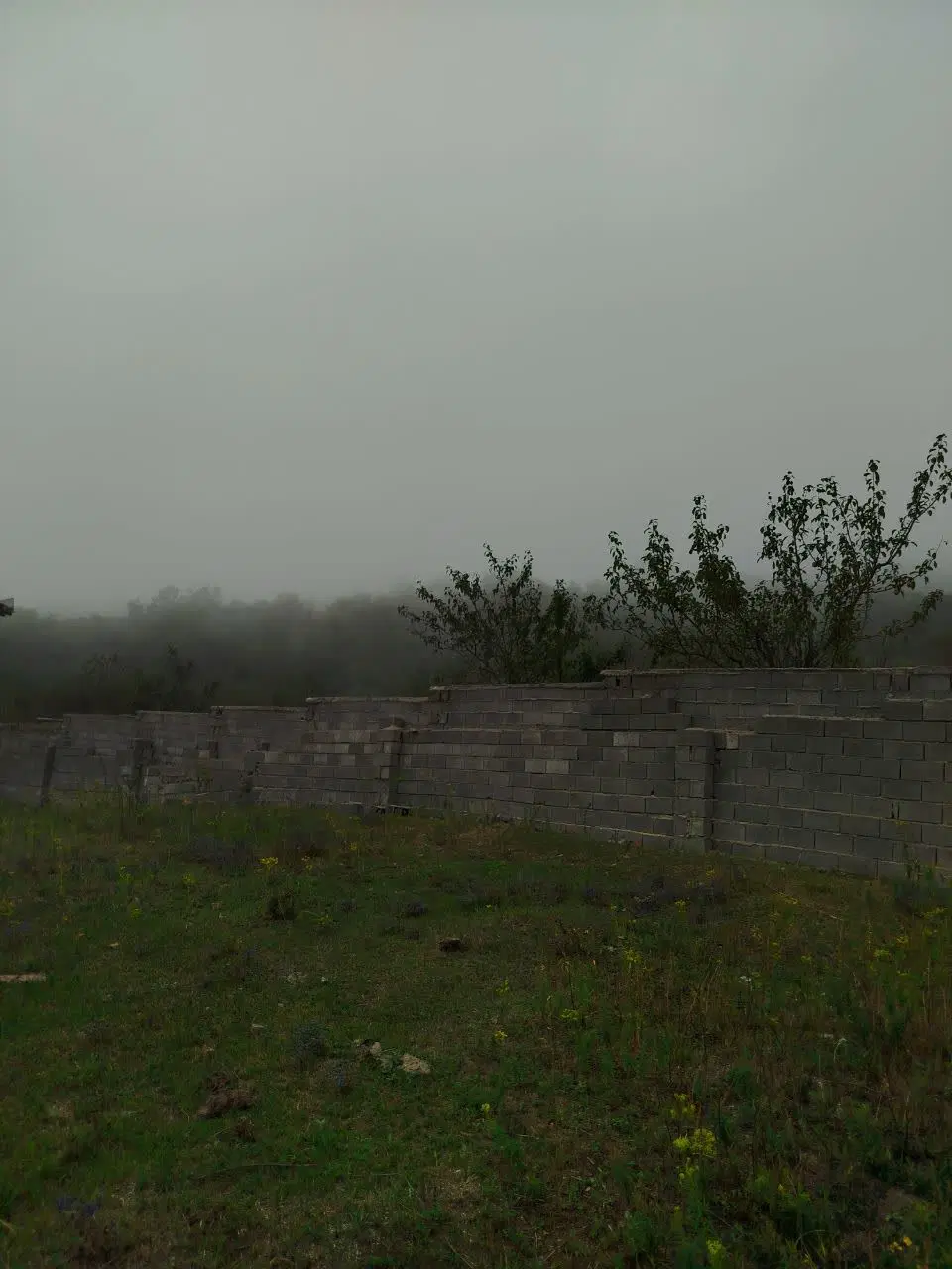 زمین مسکونی در روستای شهریارکلا(آلاشت)با متراژ ۱۳۰