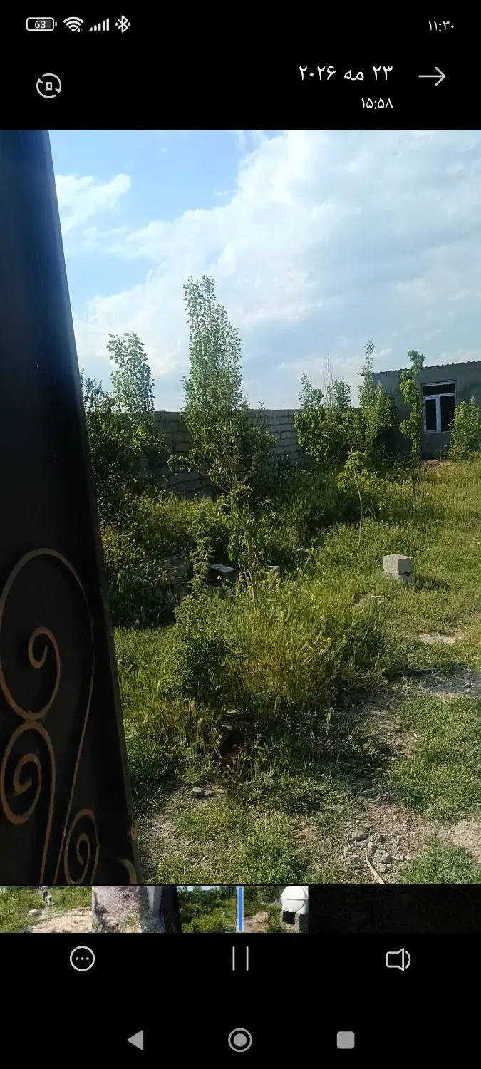 زمین باغی