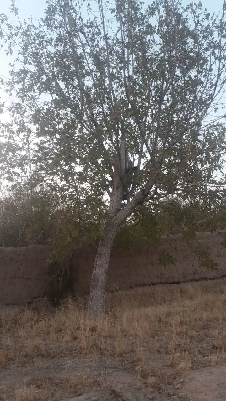 زمین فروشی به متراژ  ۷۵۰متر