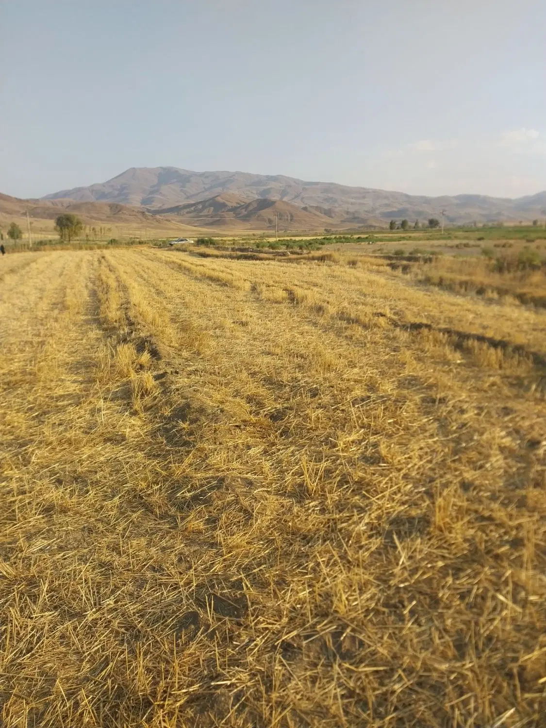 زمین روستایی