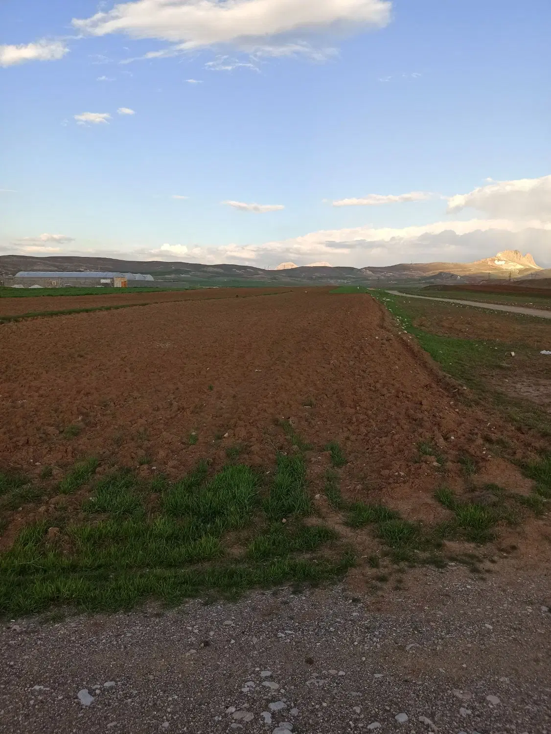 زمین کشاورزی سرارود باب باغ