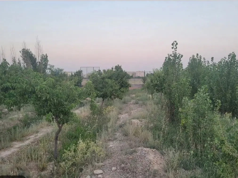 زمین باغچه ای ،پول لازمم