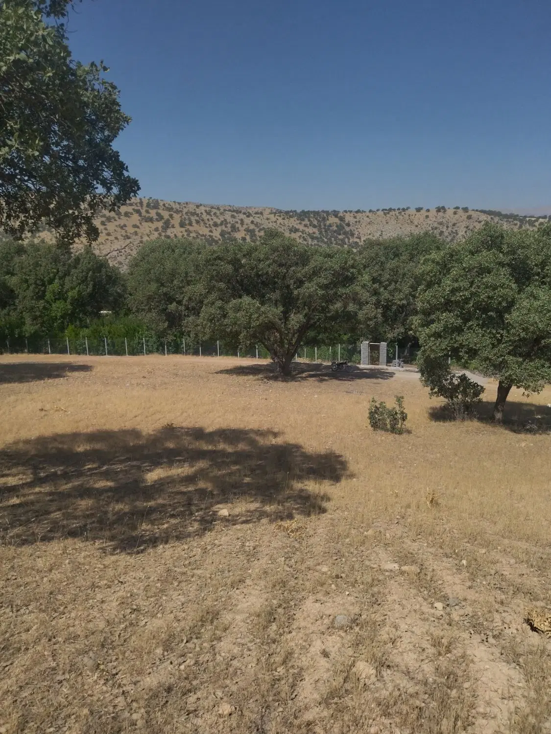 زمین  باغ معاوزه ماشین