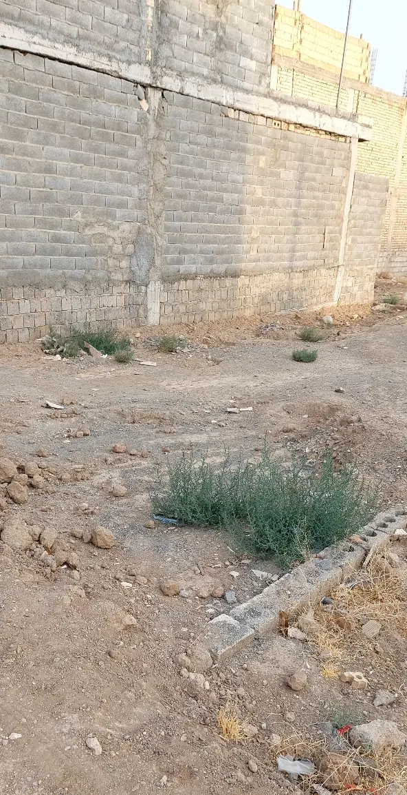 زمین ۱۱۴ متری بلوار ایزدی