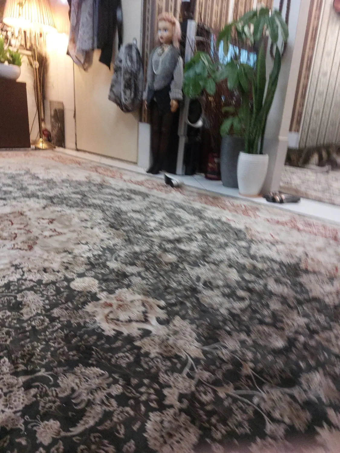 رهن