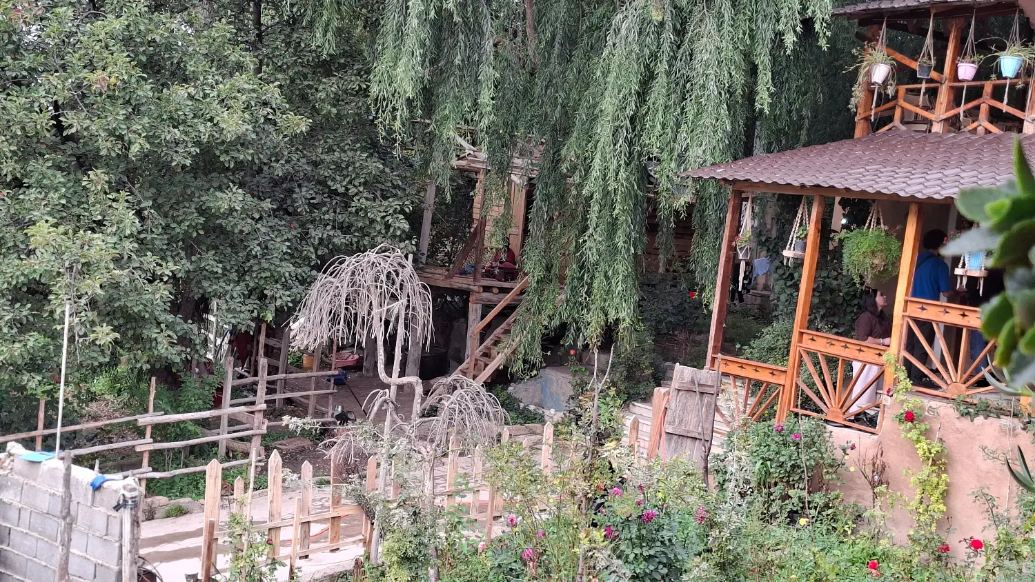 زمین باغی
