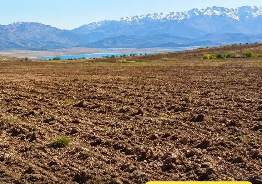 ۶۰۰۰ متر زمین زراعی دیم در شادمهن  ارجمند