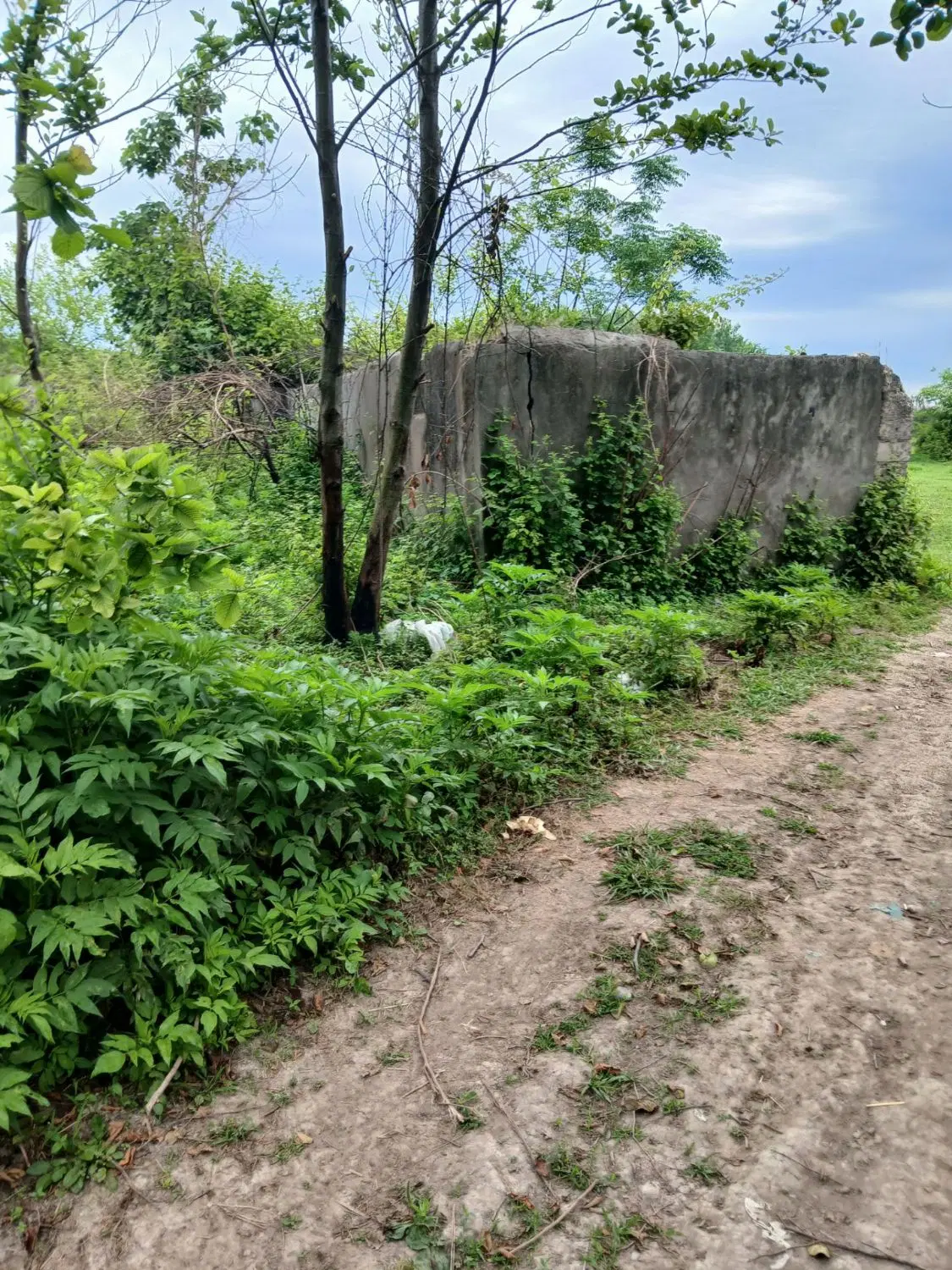 زمین مسکونی