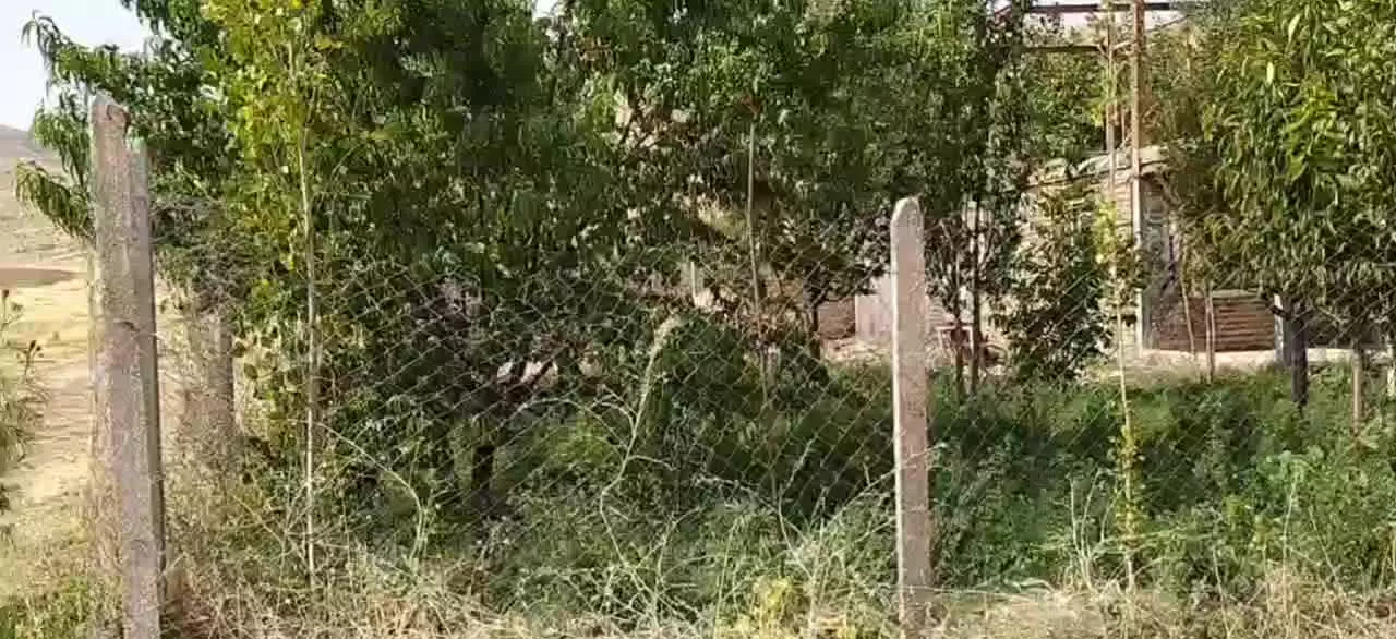 خانه باغ شمال استان