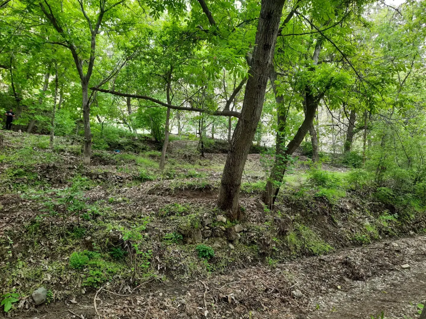 زمین۸۰۰ متر  در کردان روستای سیباندره