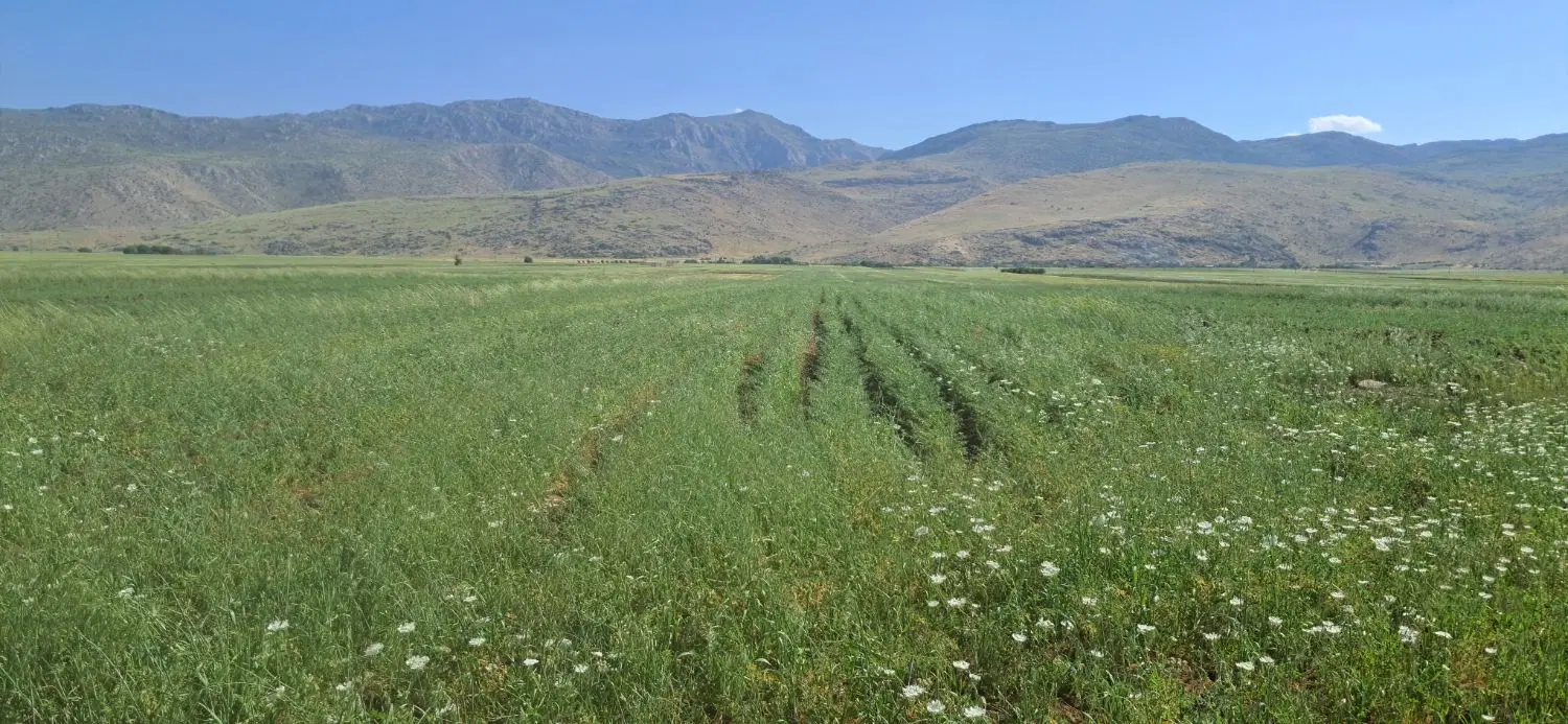 زمین کشاورزی