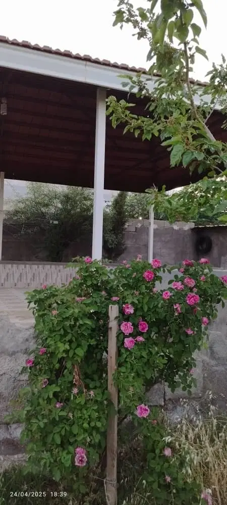 یک قطعه باغ شهری به متراژ4000متر پسته ثمری