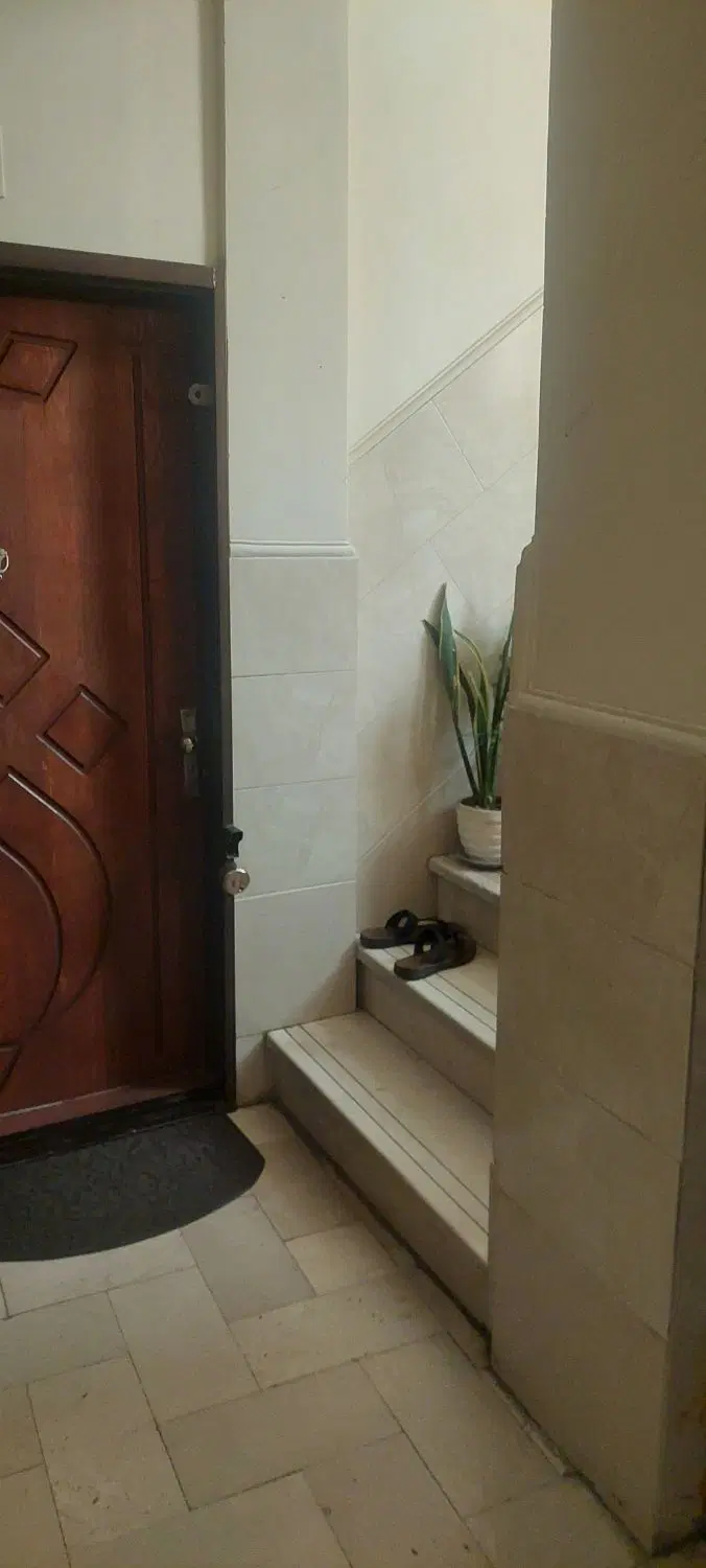 نبردجنوبی،انصار
