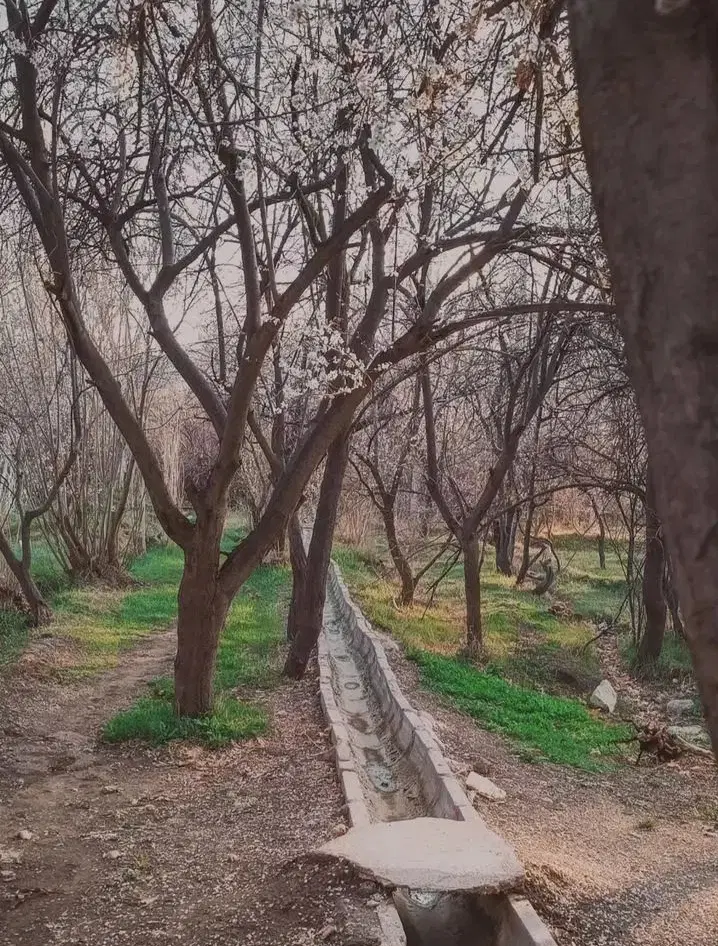 فروش باغ