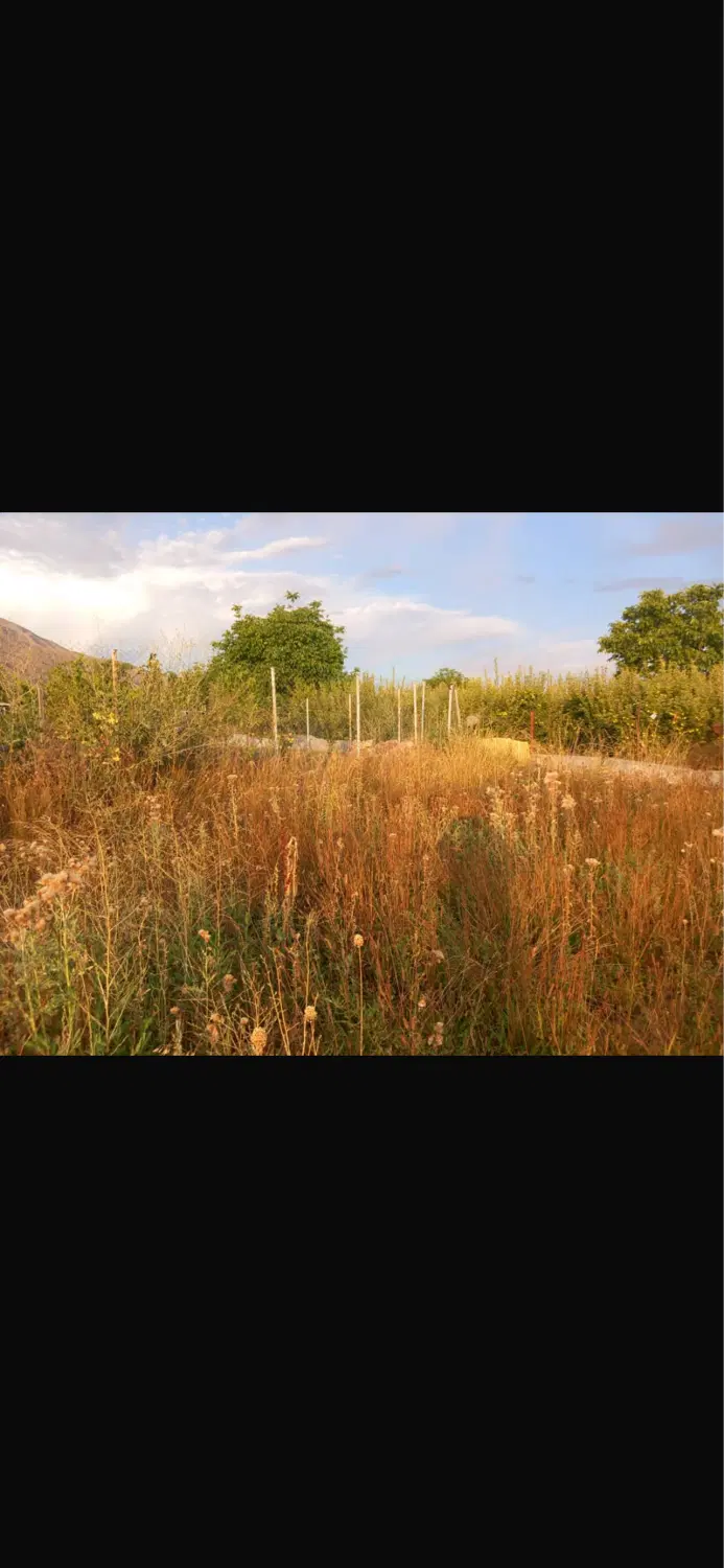 فروش زمین زراعی  سند دار