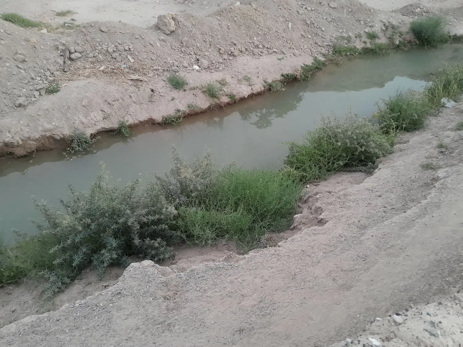 فروش زمین کشاورزی