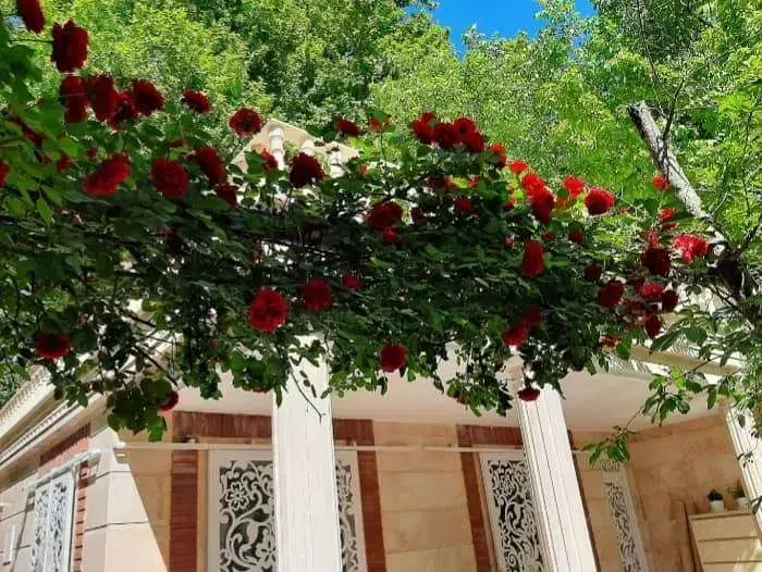 باغ ویلا در کلاک کرج