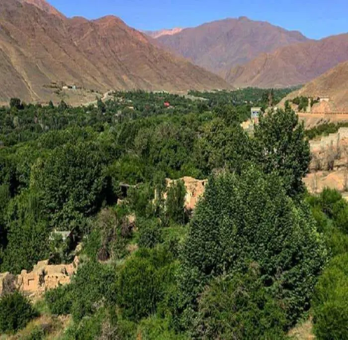 فروش باغ 1000 متری سرسبز و رویایی در  دولت آباد