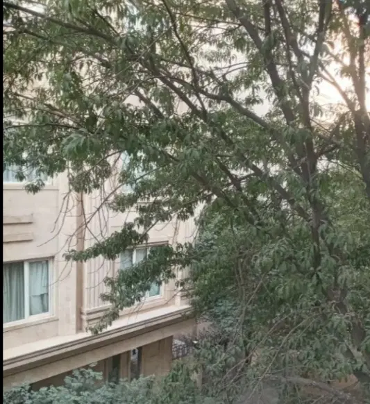 فروش کلنگی طالقانی