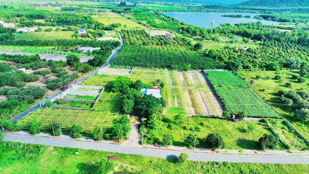 زمین کشاورزی