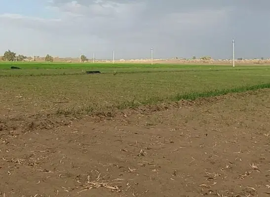 زمین فروشی خیابان نور۱