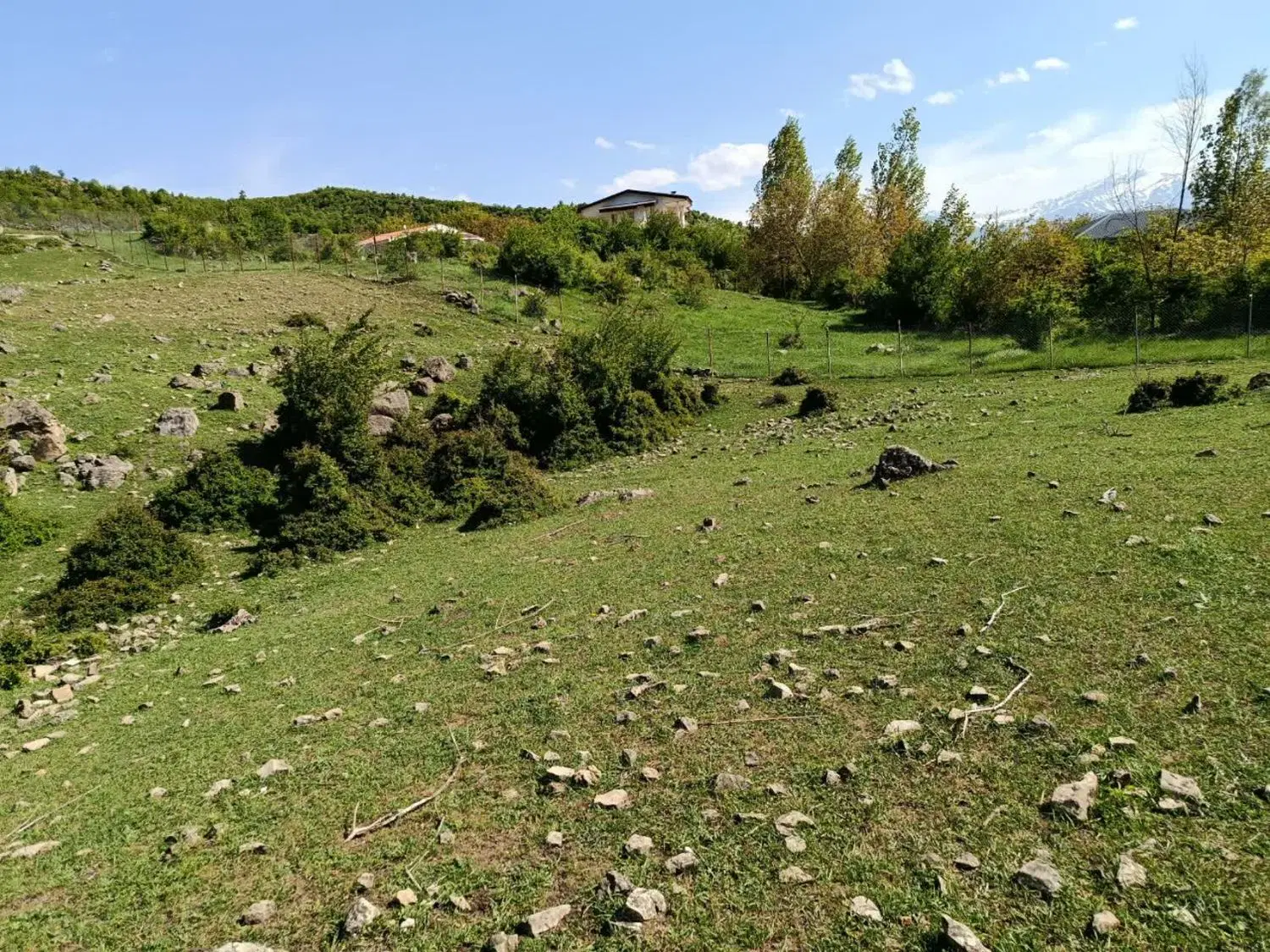 کجور_لشکنار_فروش فوری_زیر قیمت