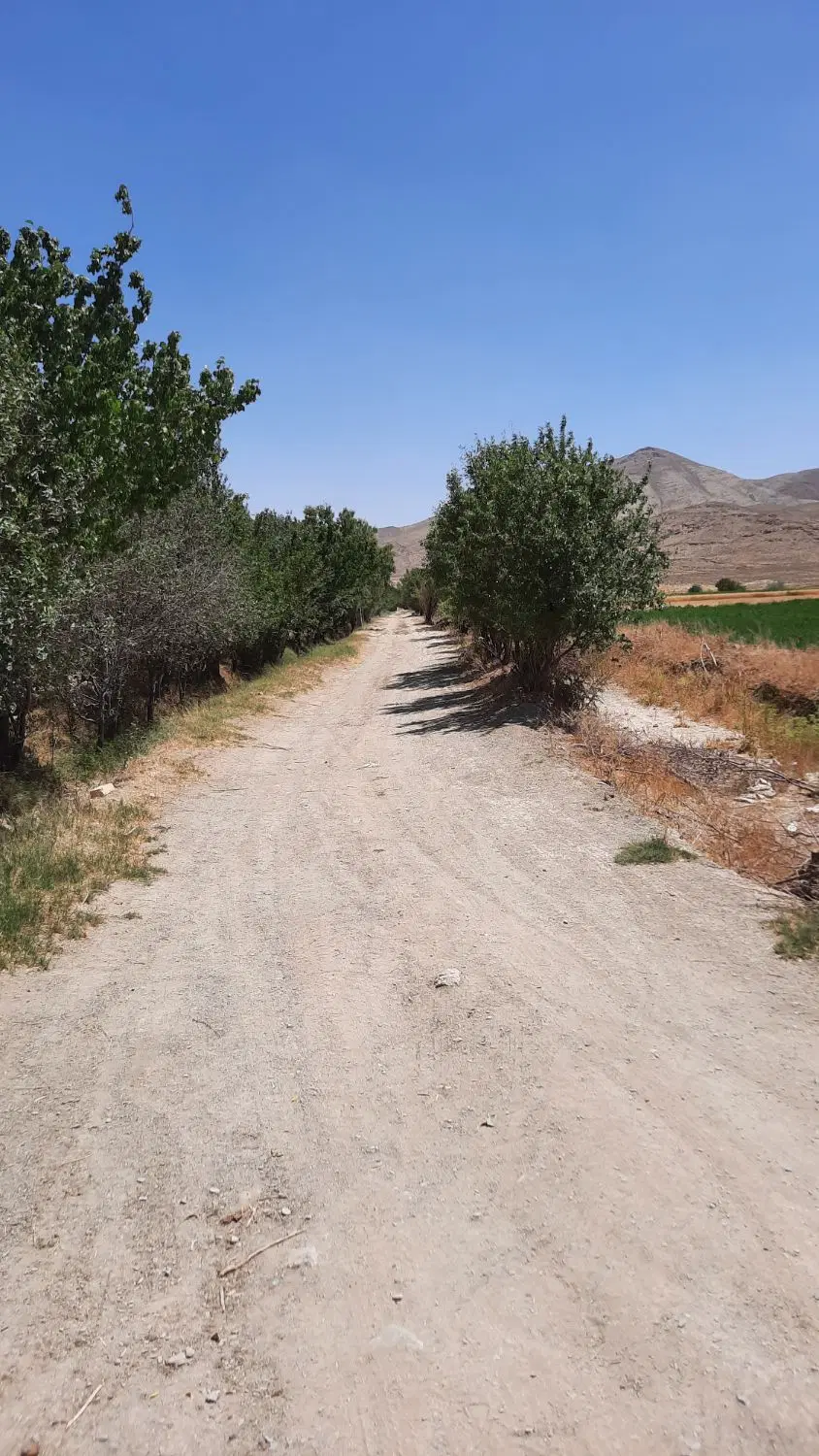 زمین مسکونی