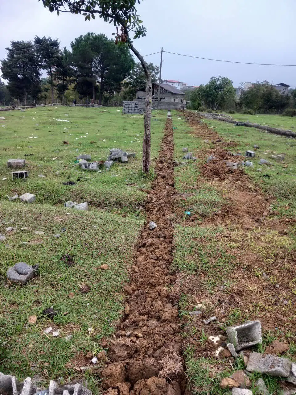 ۲۰۰۰ متر زمین ویلایی با ویوی ابدی مشرف به چالوس