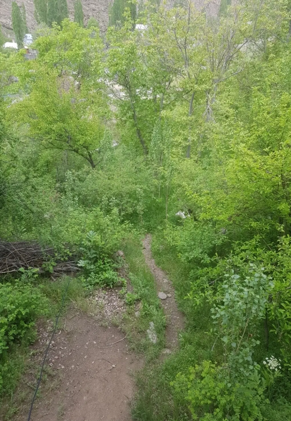 فروش زمین _ مازندران