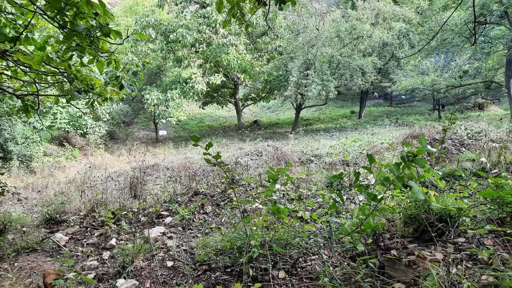 فروش زمین