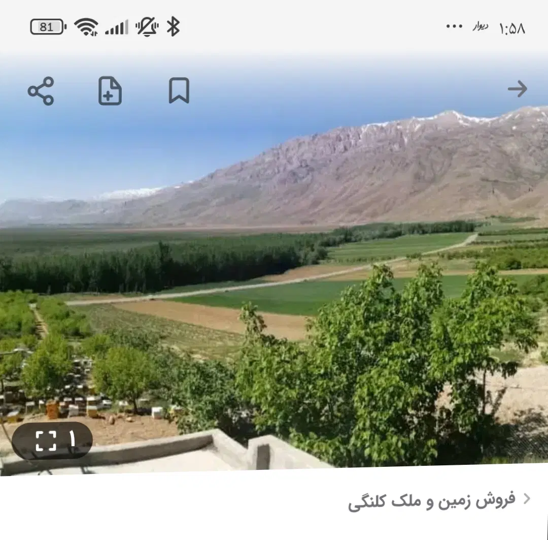 زمین کشاورزی