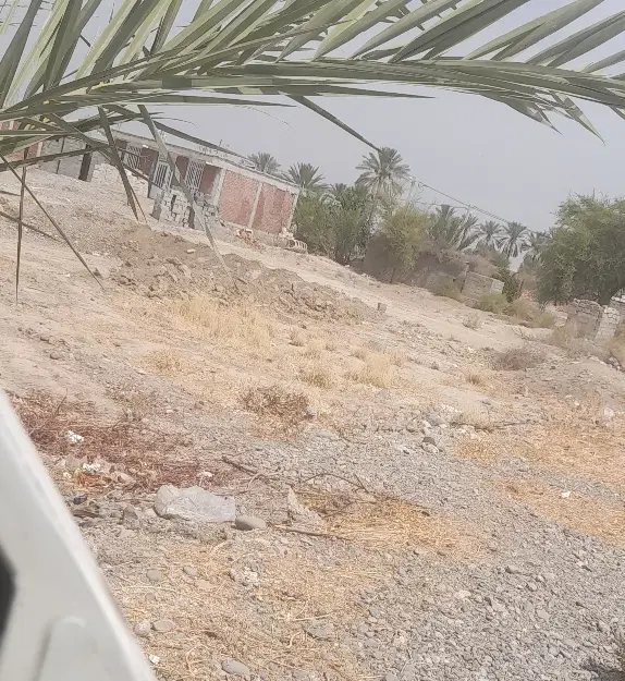 ۱۰قصب زمین فروشی در ملک اباد