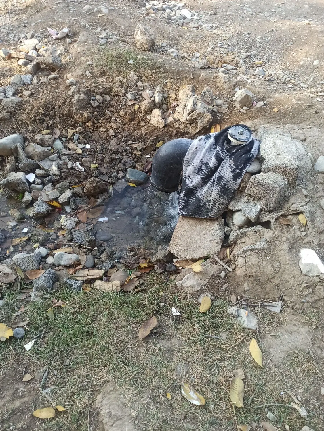 زمین در محمد شهر،مناسب برای سرمایه گذاری