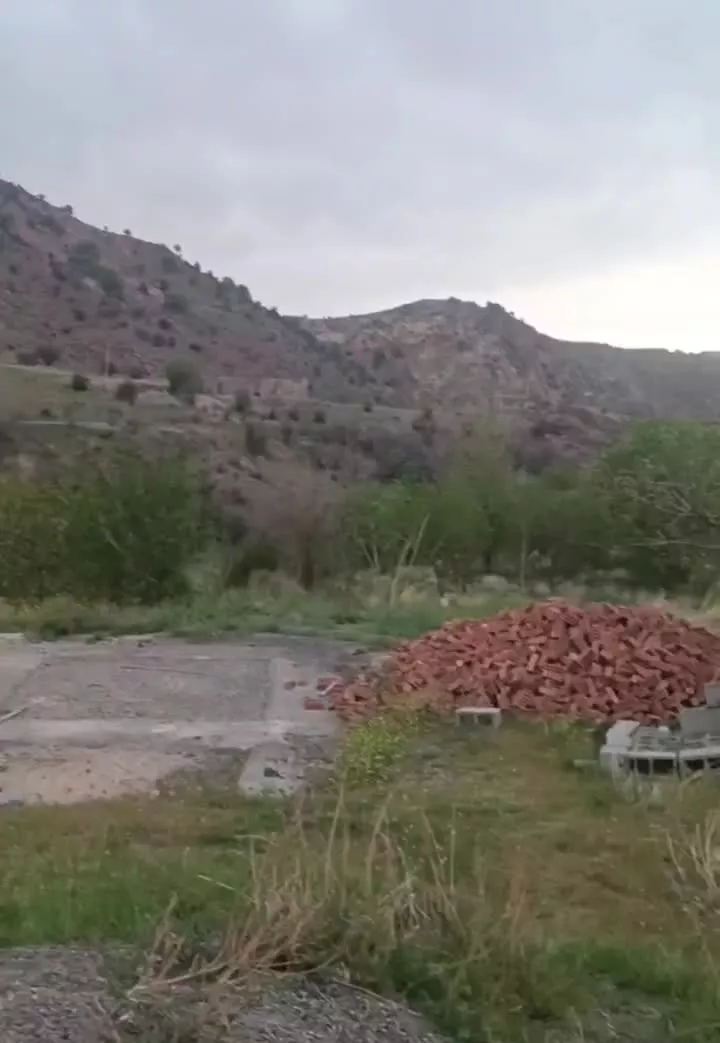 باغ زردآلو و انار