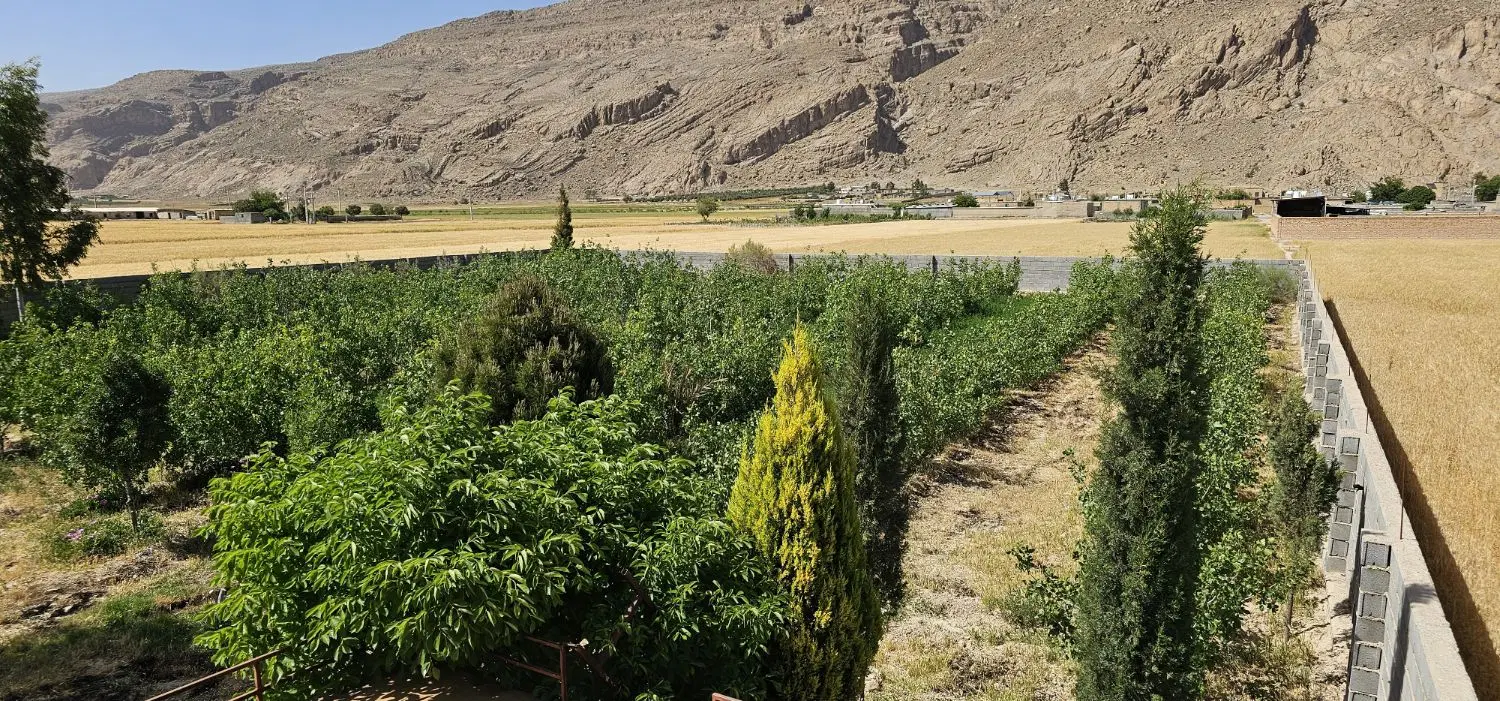 باغ پسته