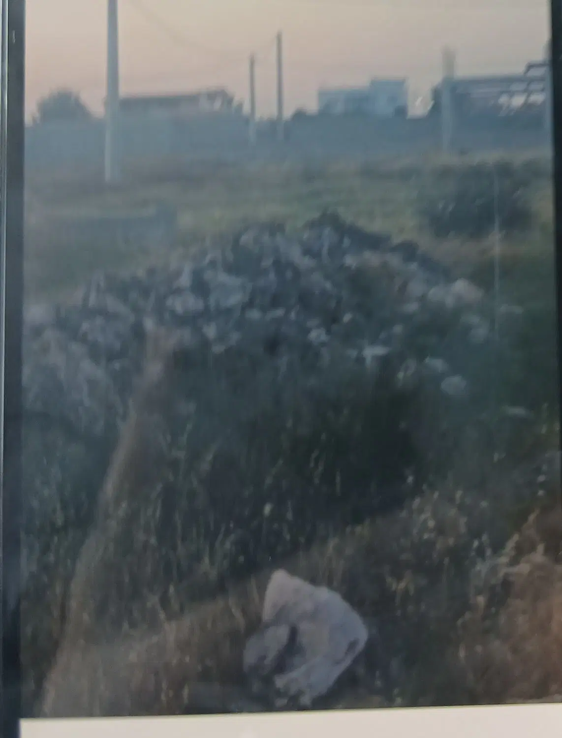 زمین مسکونی