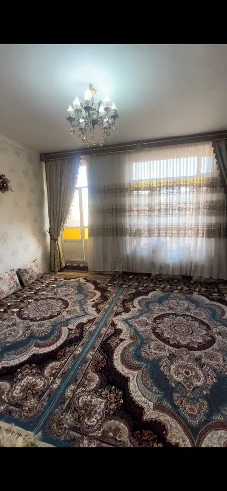 حیاط ویلایی کوچک اره گر