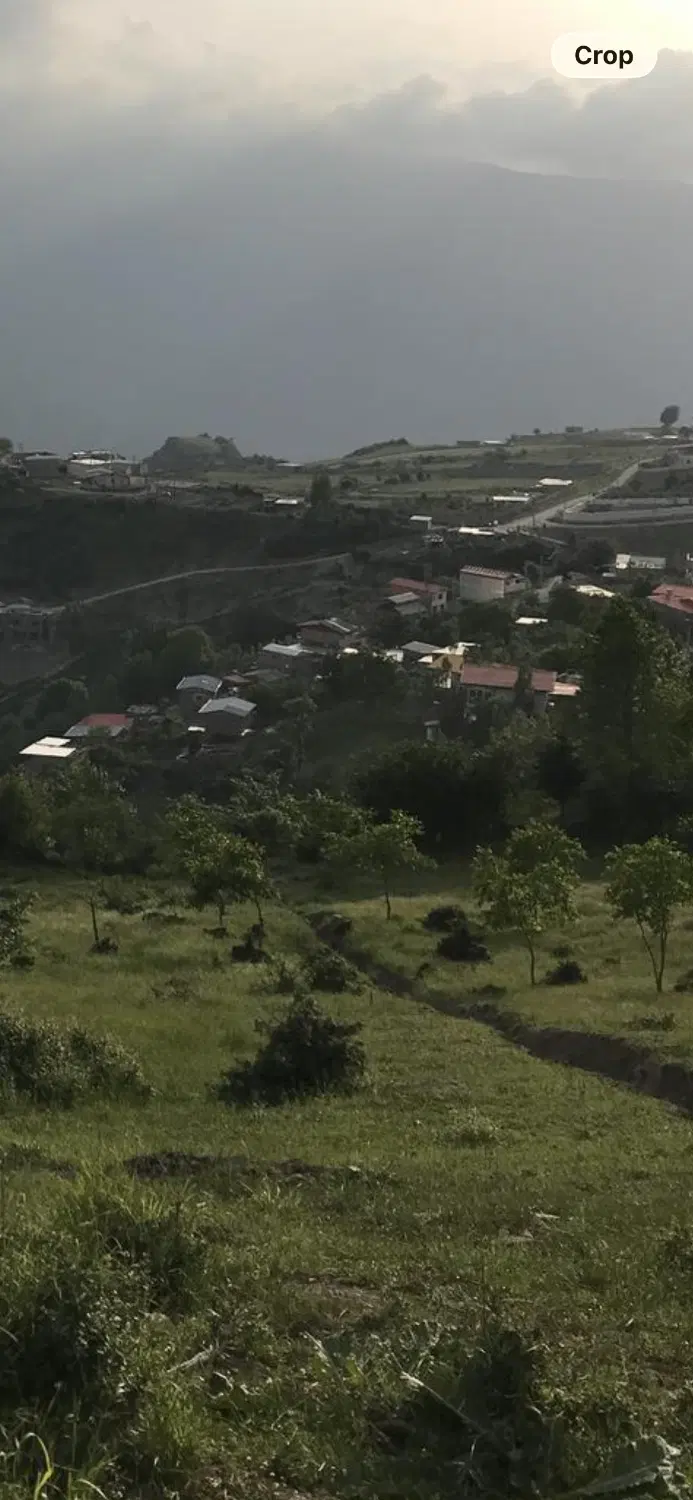 زمین