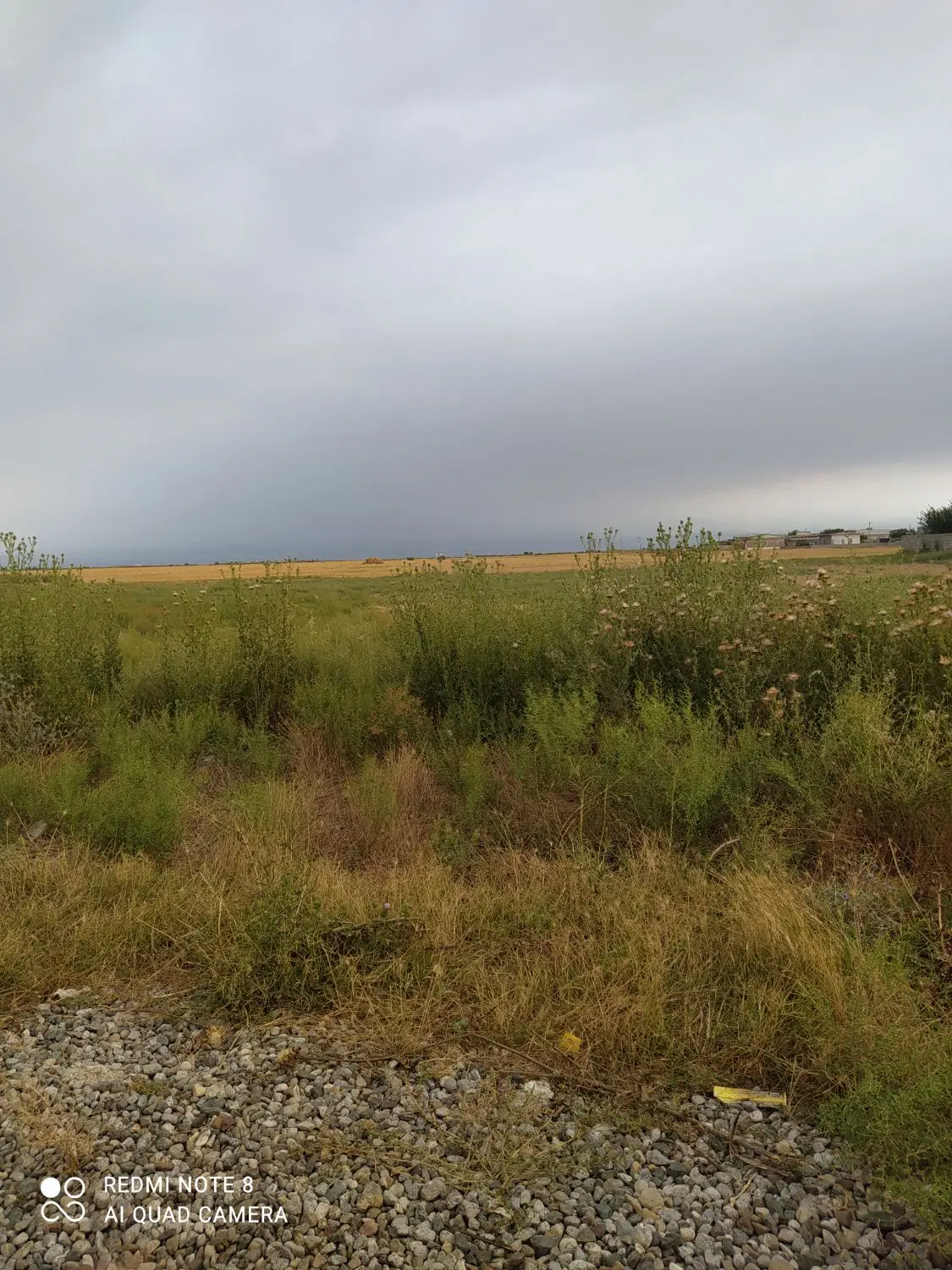 زمین کشاورزی
