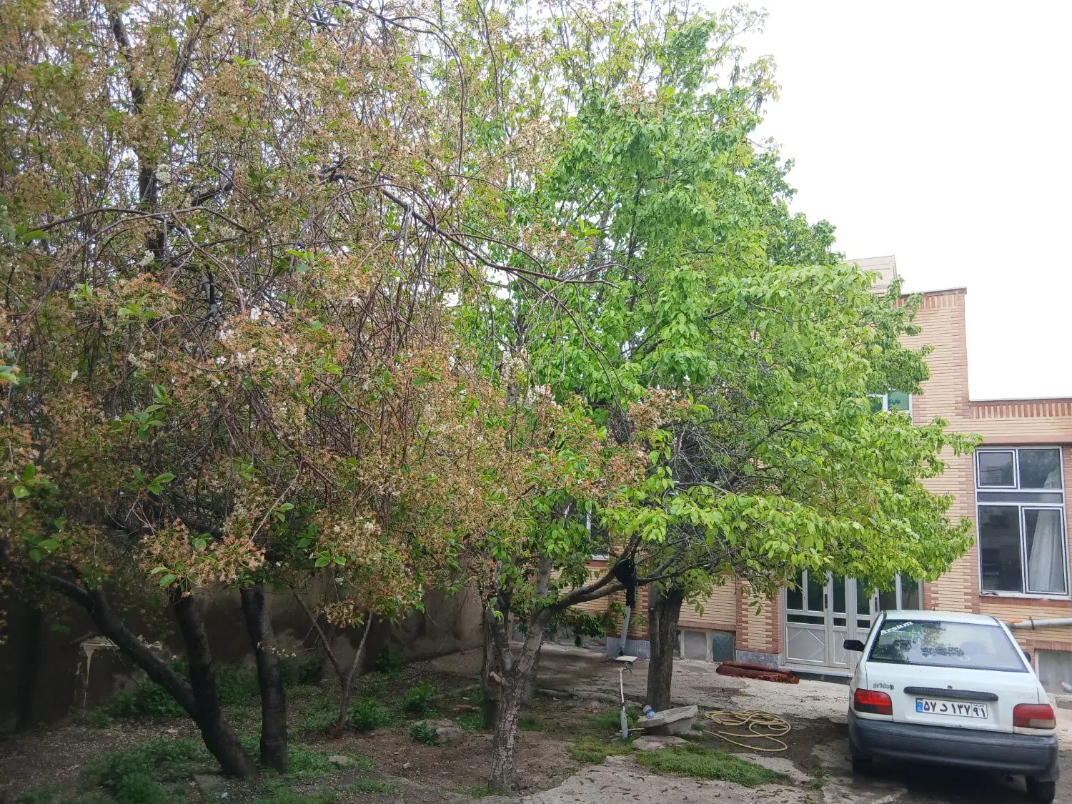 خانه ویلایی 300متر طالقانی