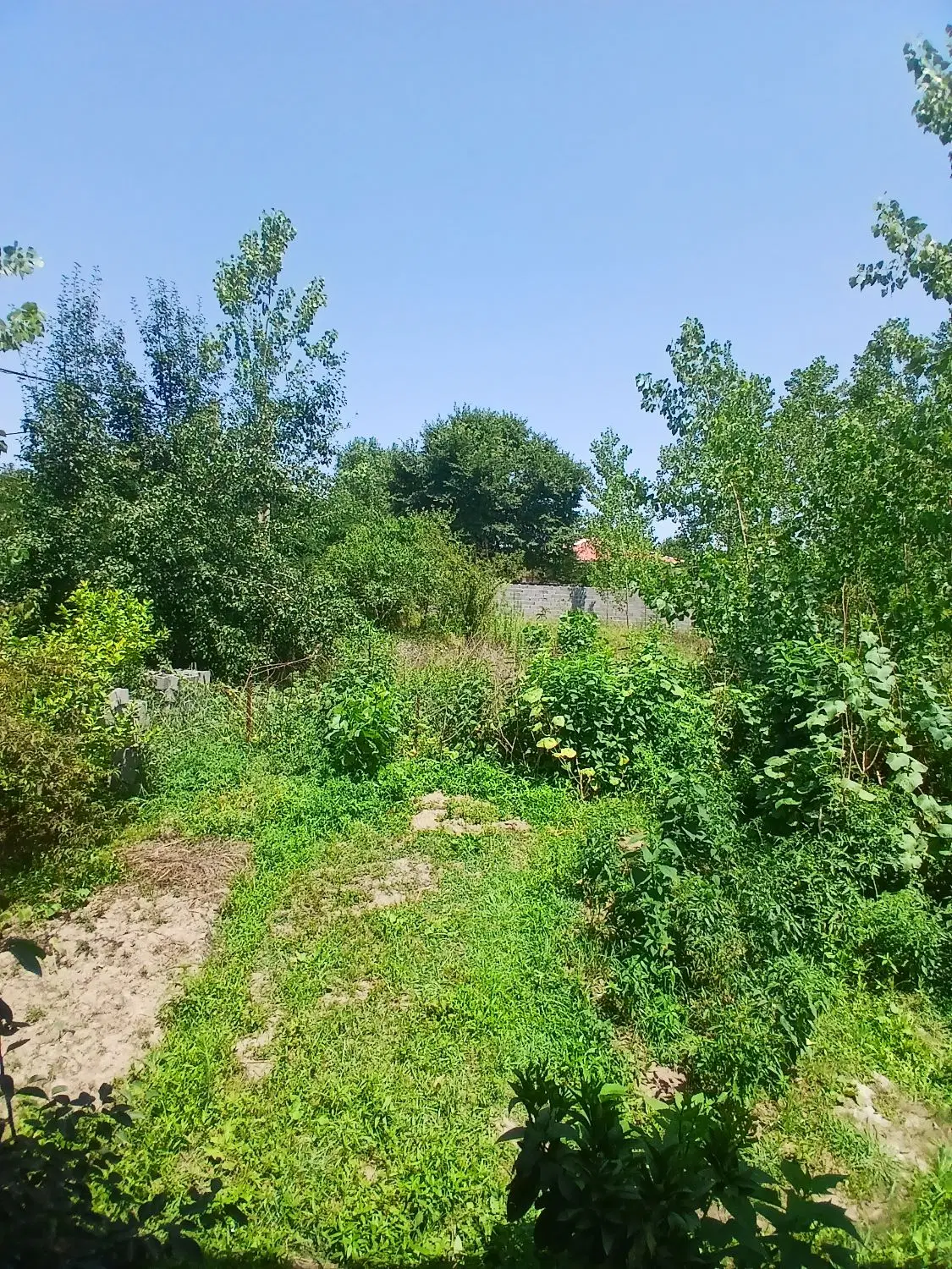زمین سنددار مسکونی