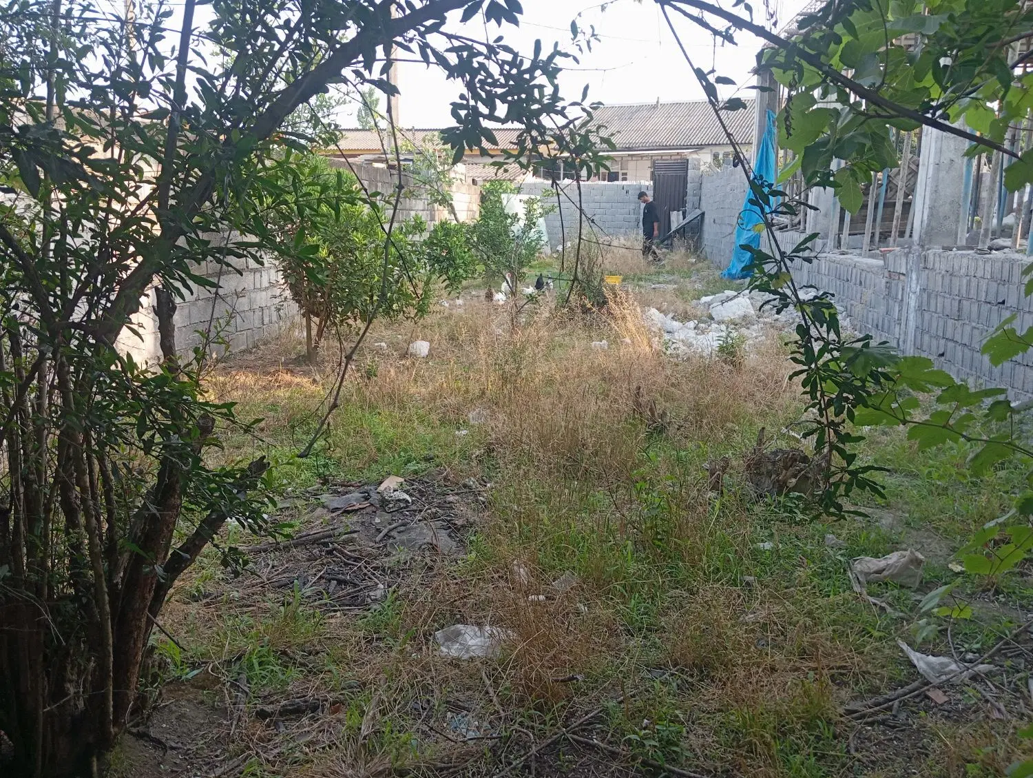 زمین مسکونی