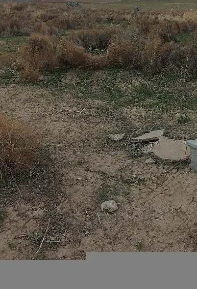 زمین در روستای گردشگری موسی قیه