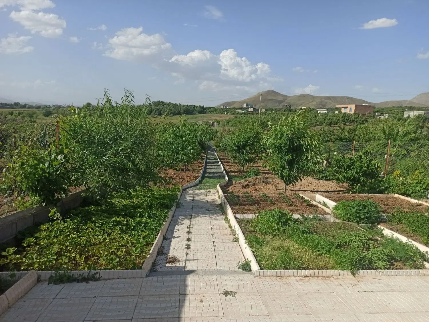 خریدو فروش باغ و ویلا و زمین کشاورزی