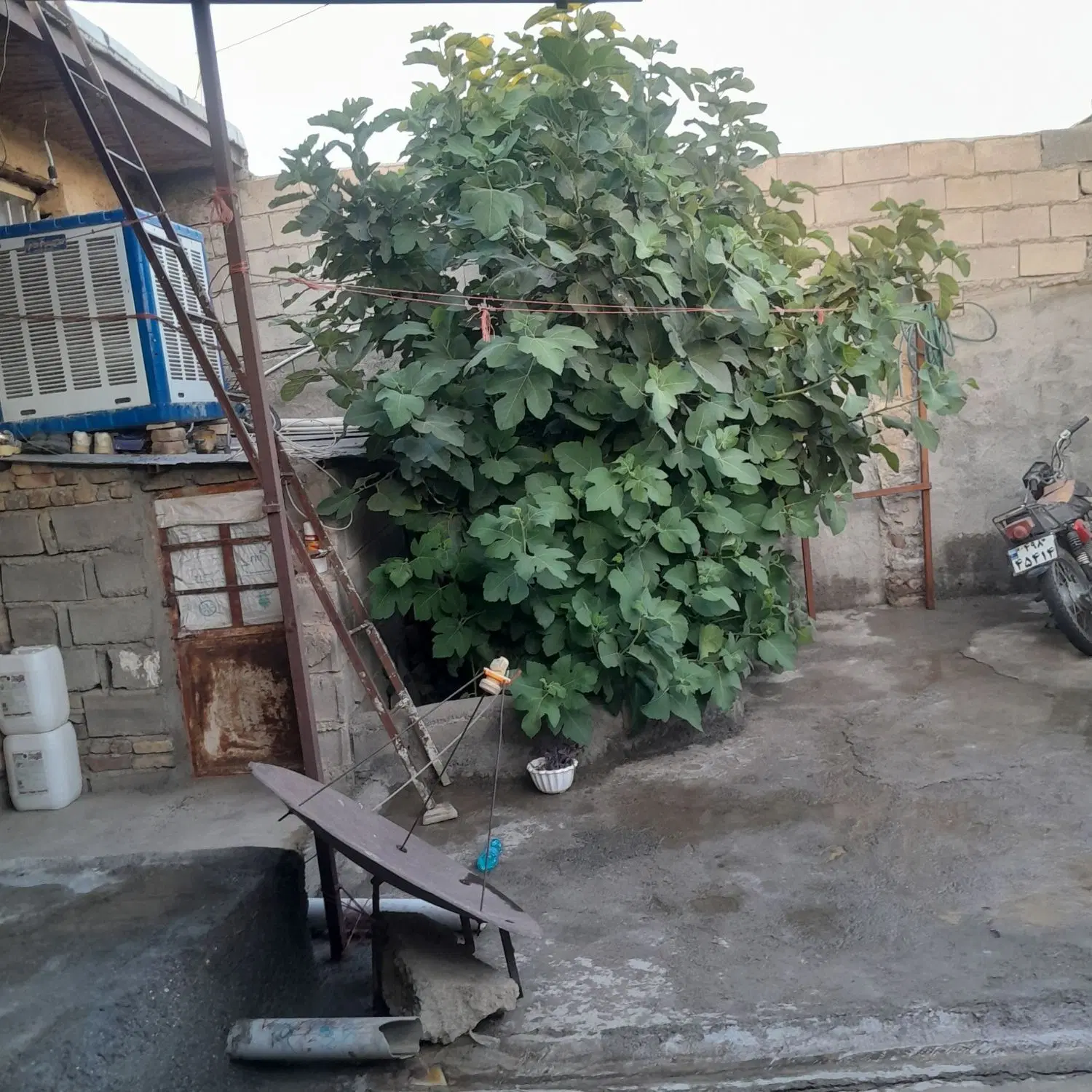 فروش خانه ویلایی موسی آباد