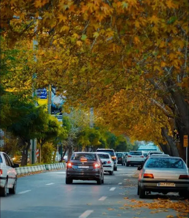 اجاره آپارتمان در دانشکده