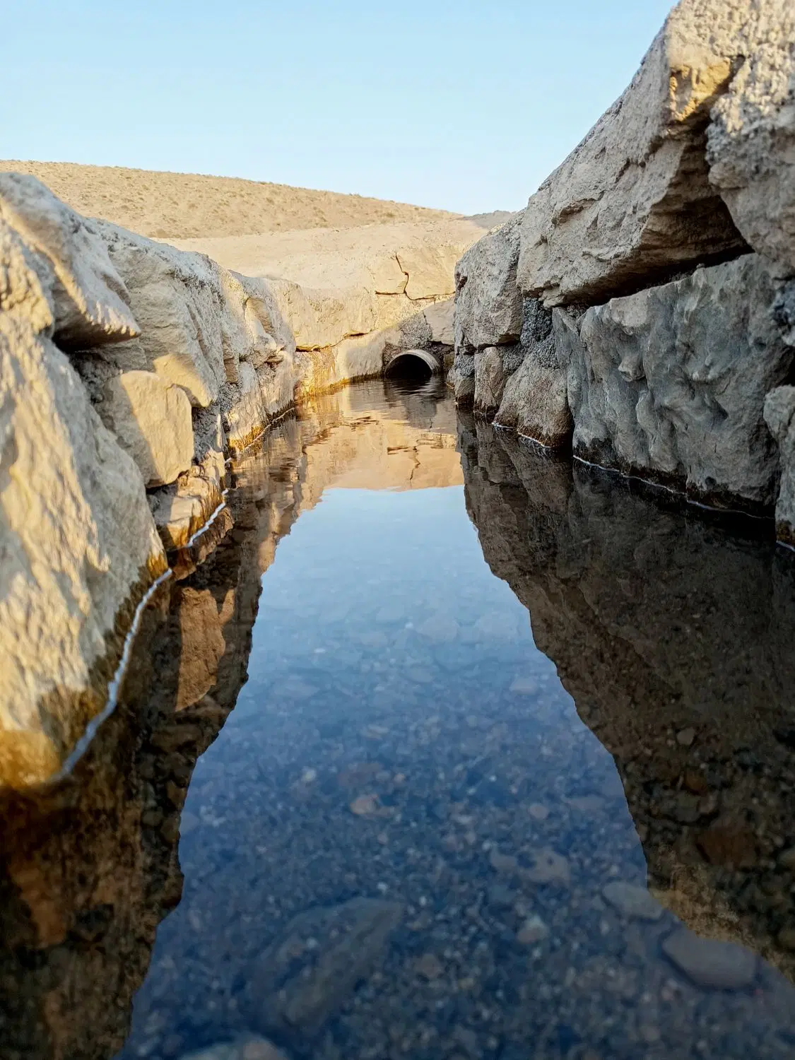 زمین و باغ