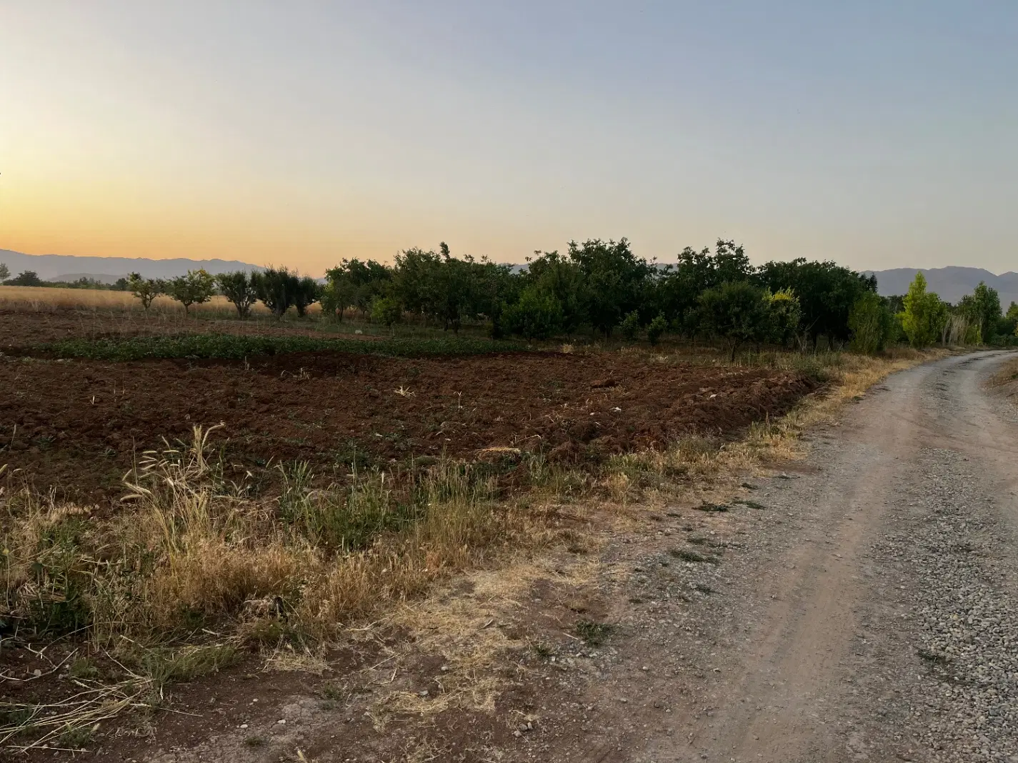 باغ شخصی روستای مروارید